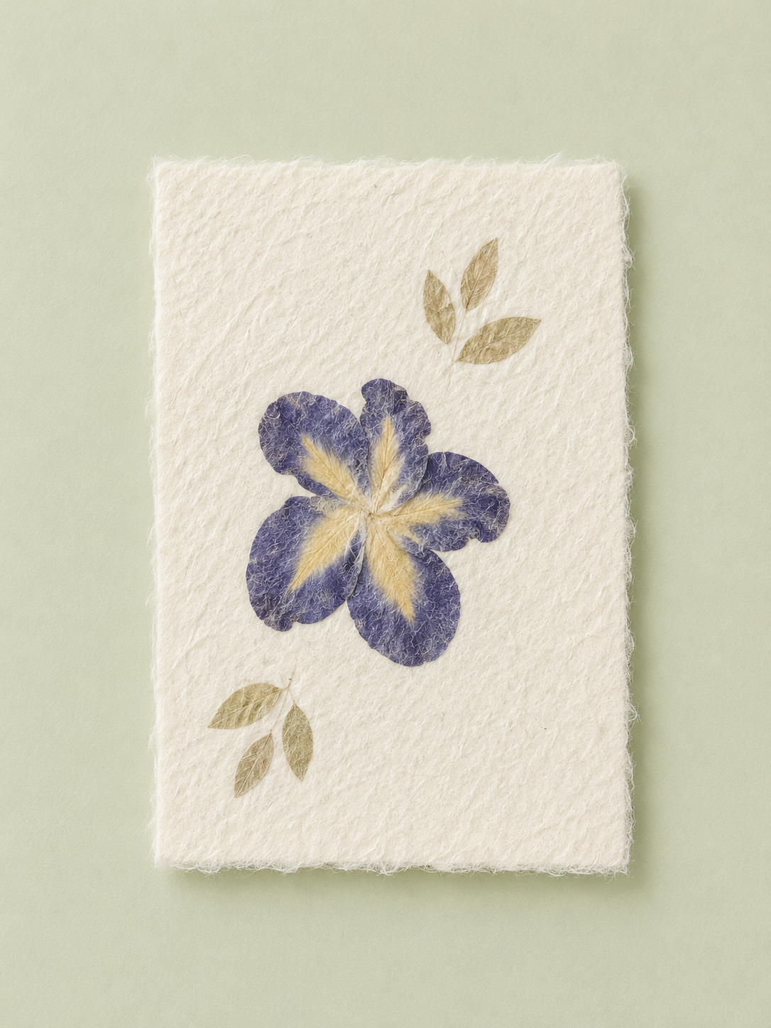 Mulberry Paper Notecards w/ Real Flowers and Frayed Edges