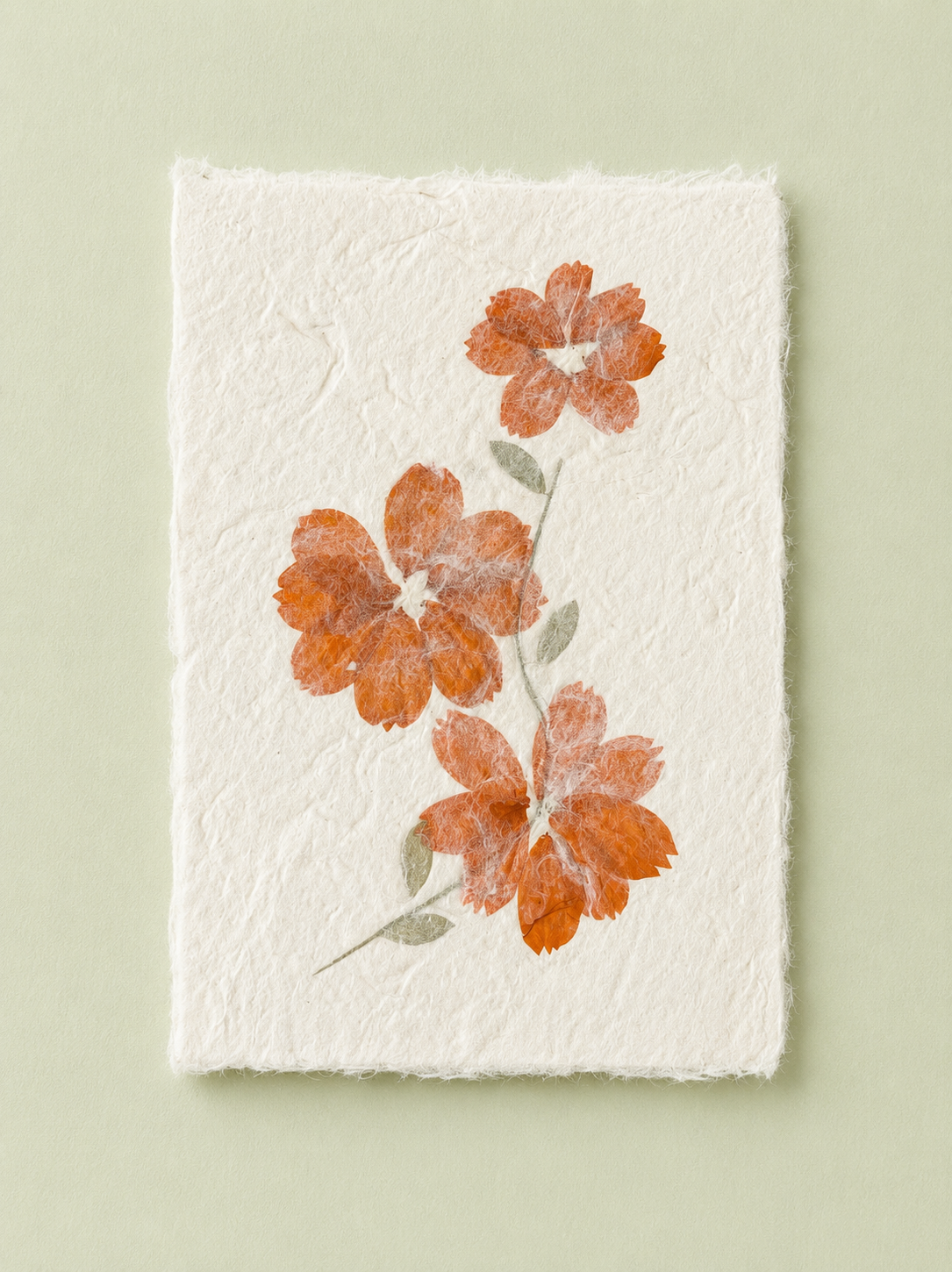 Mulberry Paper Notecards w/ Real Flowers and Frayed Edges