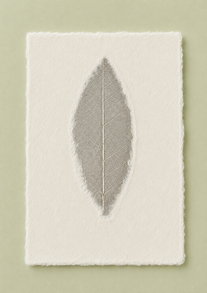 Mulberry Paper Notecards w/ Dyed Leaves and Frayed Edges