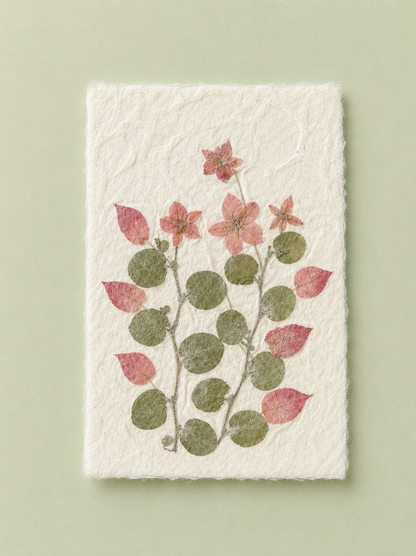 Mulberry Paper Notecards w/ Real Flowers and Frayed Edges