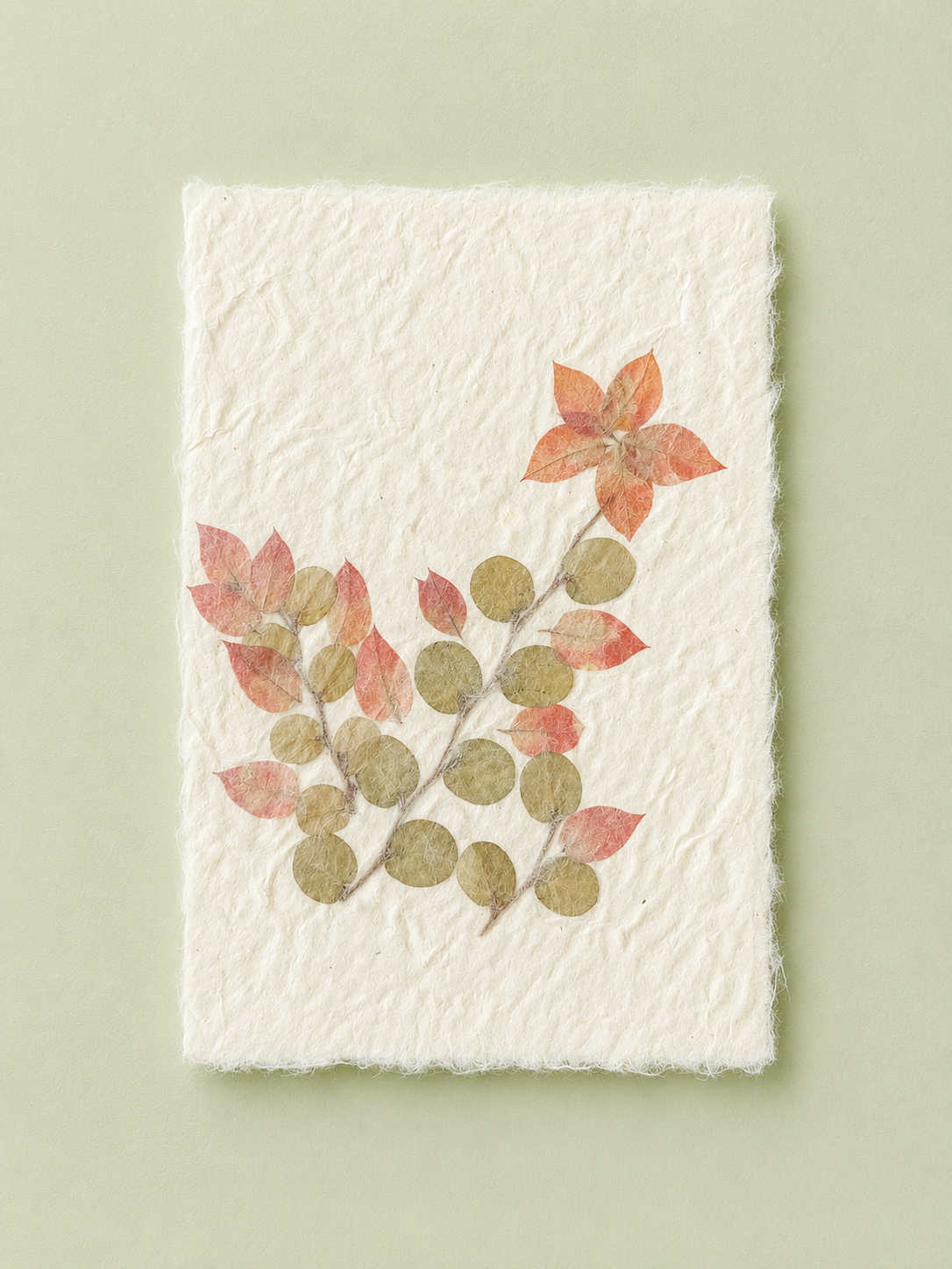 Mulberry Paper Notecards w/ Real Flowers and Frayed Edges