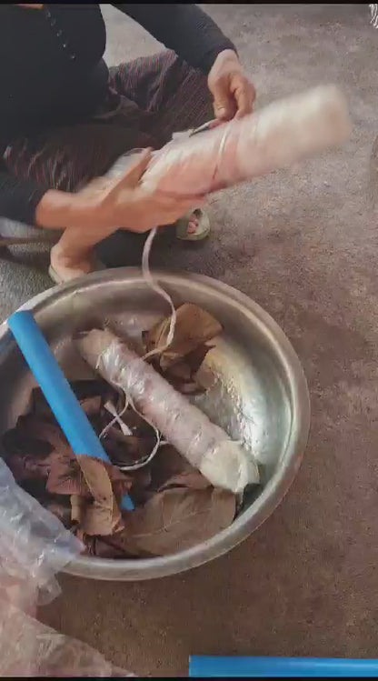"Botanical Print" Raw Silk Scarf, with REAL Banyan tree leaf imprints, (VIDEO) watch it being made